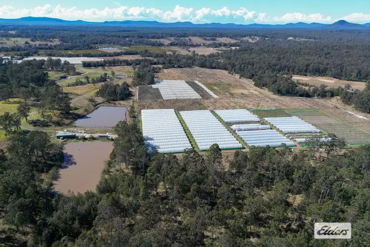 Fifth view of Homely rural property listing, 357 Big River Way, Glenugie NSW 2460