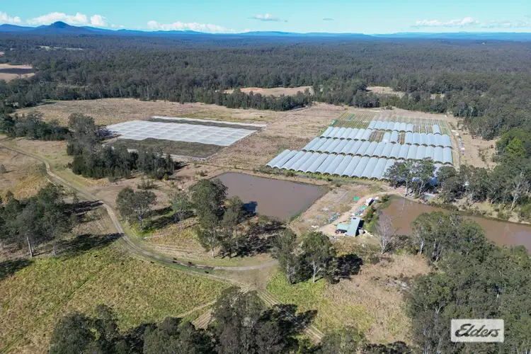 Sixth view of Homely rural property listing, 357 Big River Way, Glenugie NSW 2460