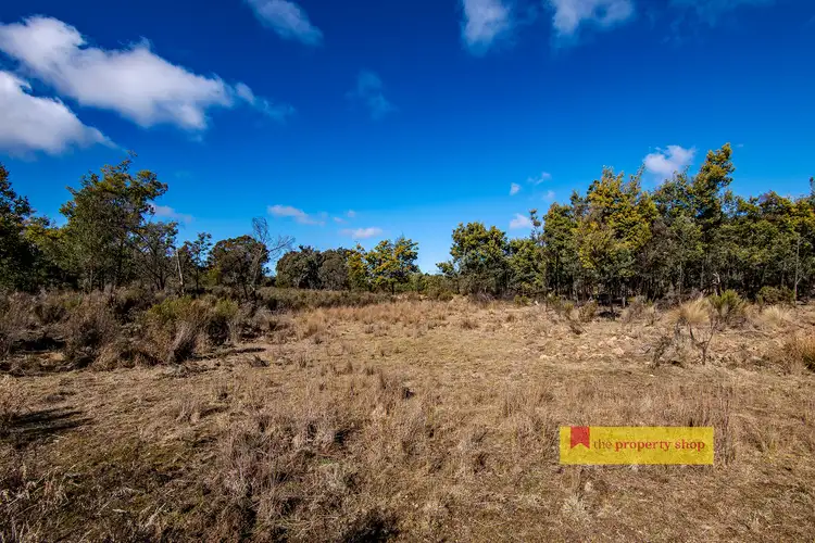 Third view of Homely rural property listing, 3860 Hill End Road, Mudgee NSW 2850