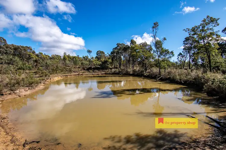 Fourth view of Homely rural property listing, 3860 Hill End Road, Mudgee NSW 2850
