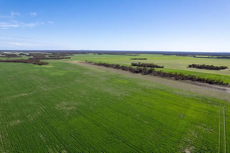 Third view of Homely rural property listing, 3276 Mount Hill-Coomaba Road, Moody SA 5607