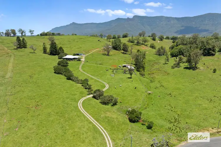 365 Tyalgum Creek Road, Tyalgum Creek NSW 2484