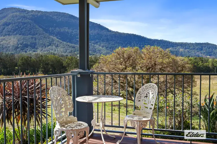Second view of Homely rural property listing, 365 Tyalgum Creek Road, Tyalgum Creek NSW 2484