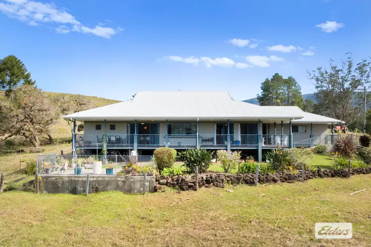 Fifth view of Homely rural property listing, 365 Tyalgum Creek Road, Tyalgum Creek NSW 2484