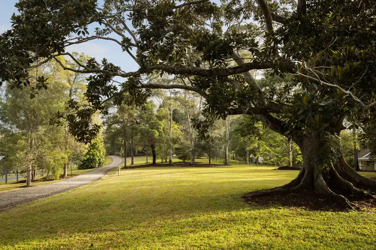Fourth view of Homely rural property listing, 126 Gold Creek Road, Brookfield QLD 4069