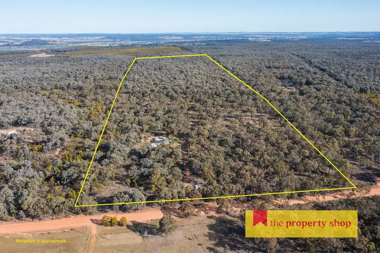 Main view of Homely rural property listing, 633 Patrick Road, Dunedoo NSW 2844