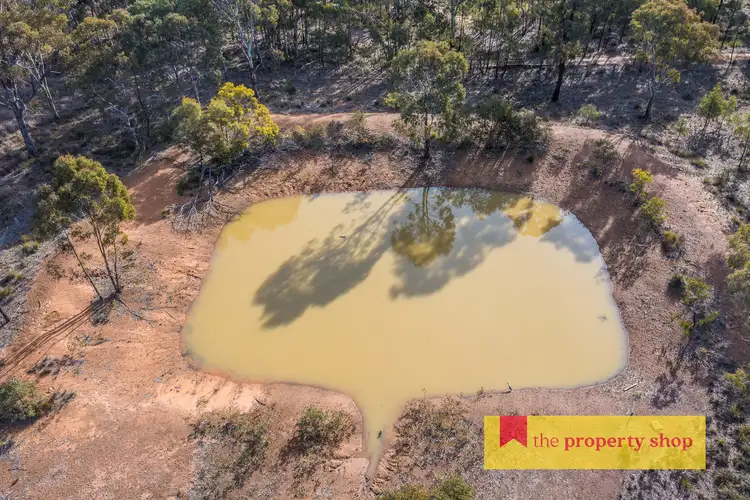 Third view of Homely rural property listing, 633 Patrick Road, Dunedoo NSW 2844