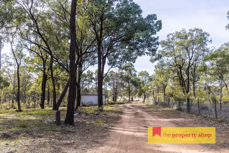 Sixth view of Homely rural property listing, 633 Patrick Road, Dunedoo NSW 2844