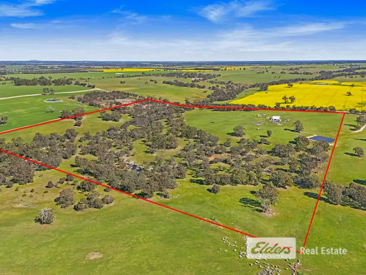 Sixth view of Homely land listing, LOT 698 Wongalillup Road, Tenterden WA 6322