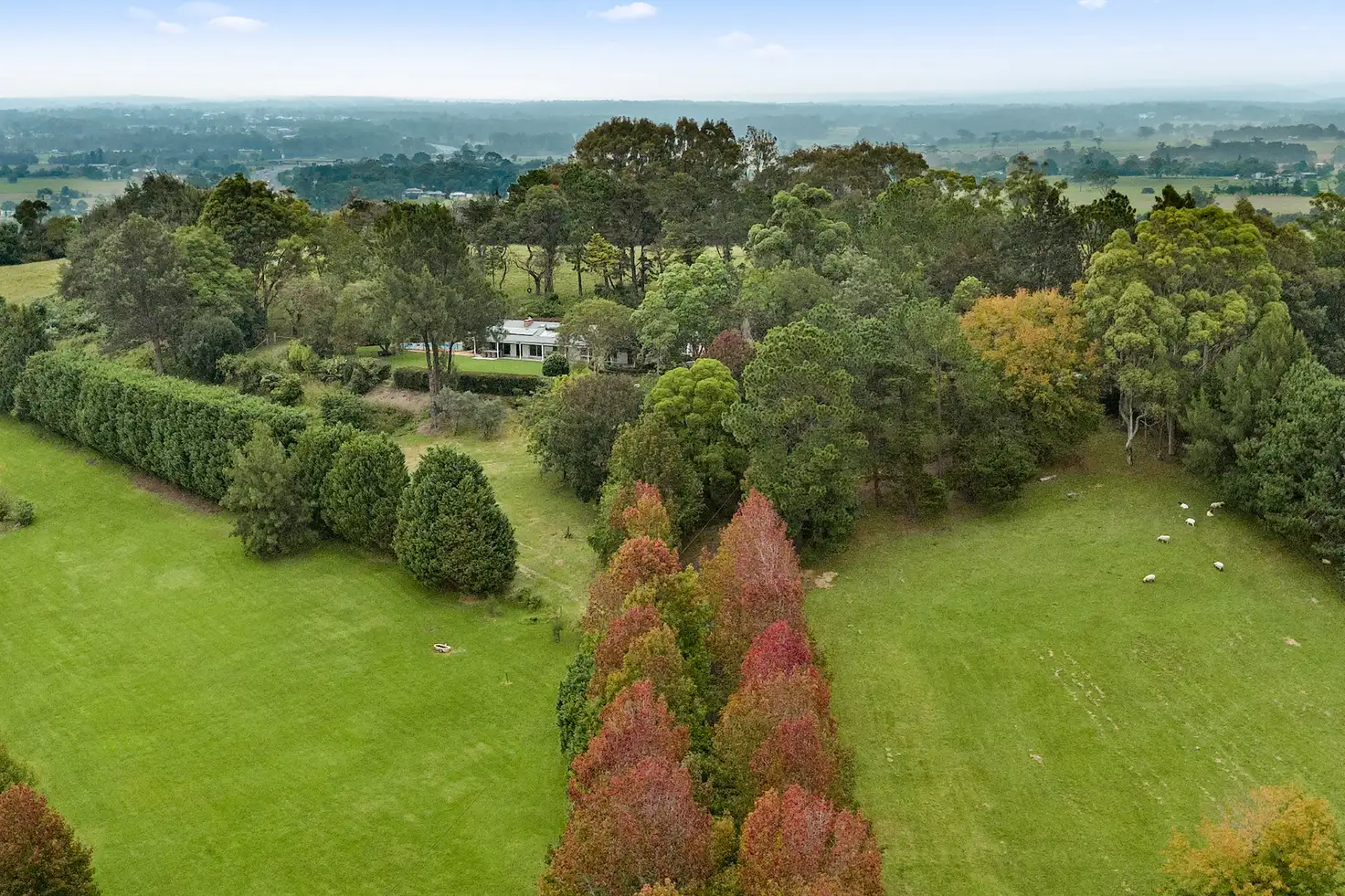 Main view of Homely house listing, 195 Devitts Lane, Meroo Meadow NSW 2540
