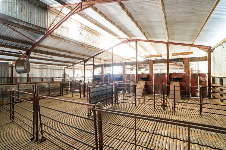 Sixth view of Homely rural property listing, North Yathong, Jerilderie NSW 2716