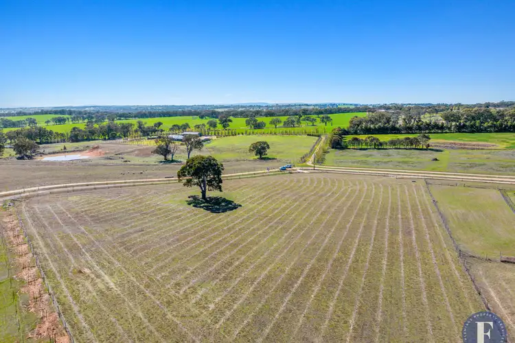 100C Boundary Road, Young NSW 2594