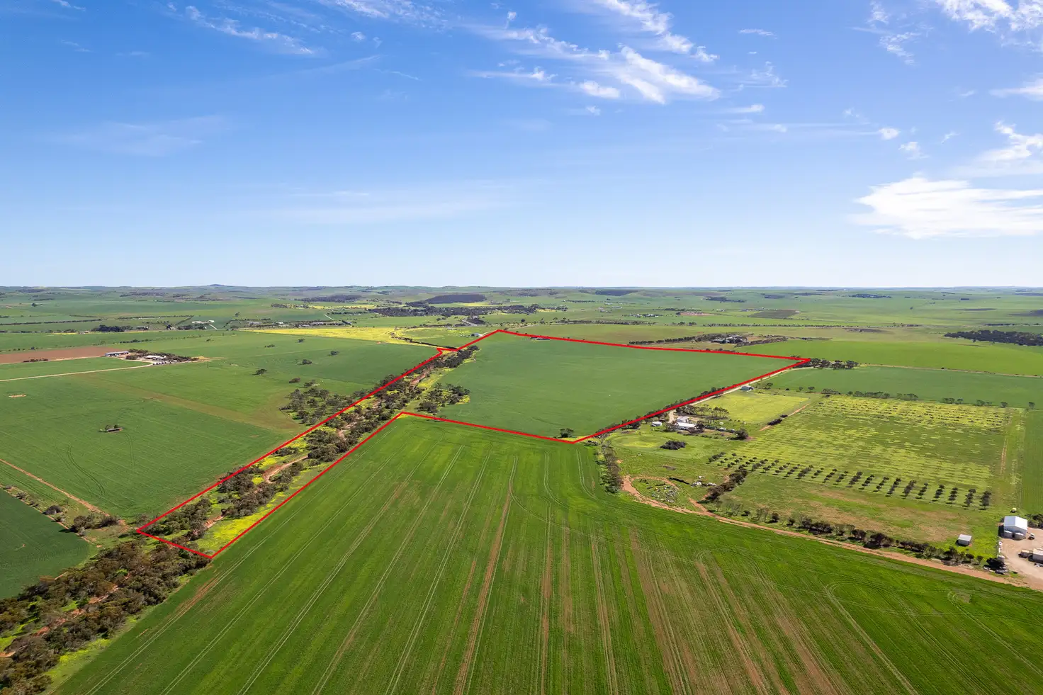 Main view of Homely rural property listing, 40 Burrawing Creek Road, Lipson SA 5607
