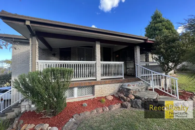 19 Viminaria Place