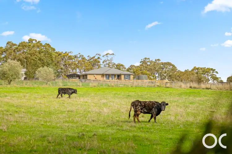 1239 Brookman Road, Dingabledinga SA 5172