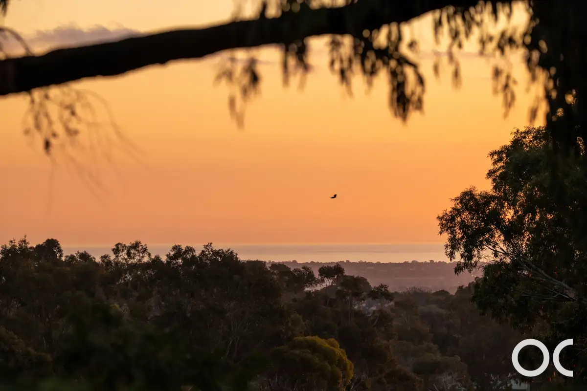 Main view of Homely house listing, 1/11 St Georges Street, Willunga SA 5172