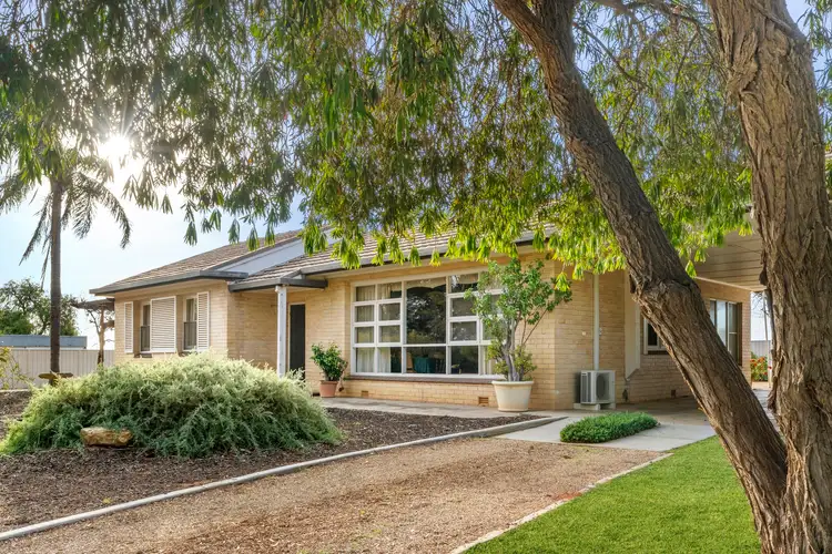 80 Briers Road, Loxton SA 5333