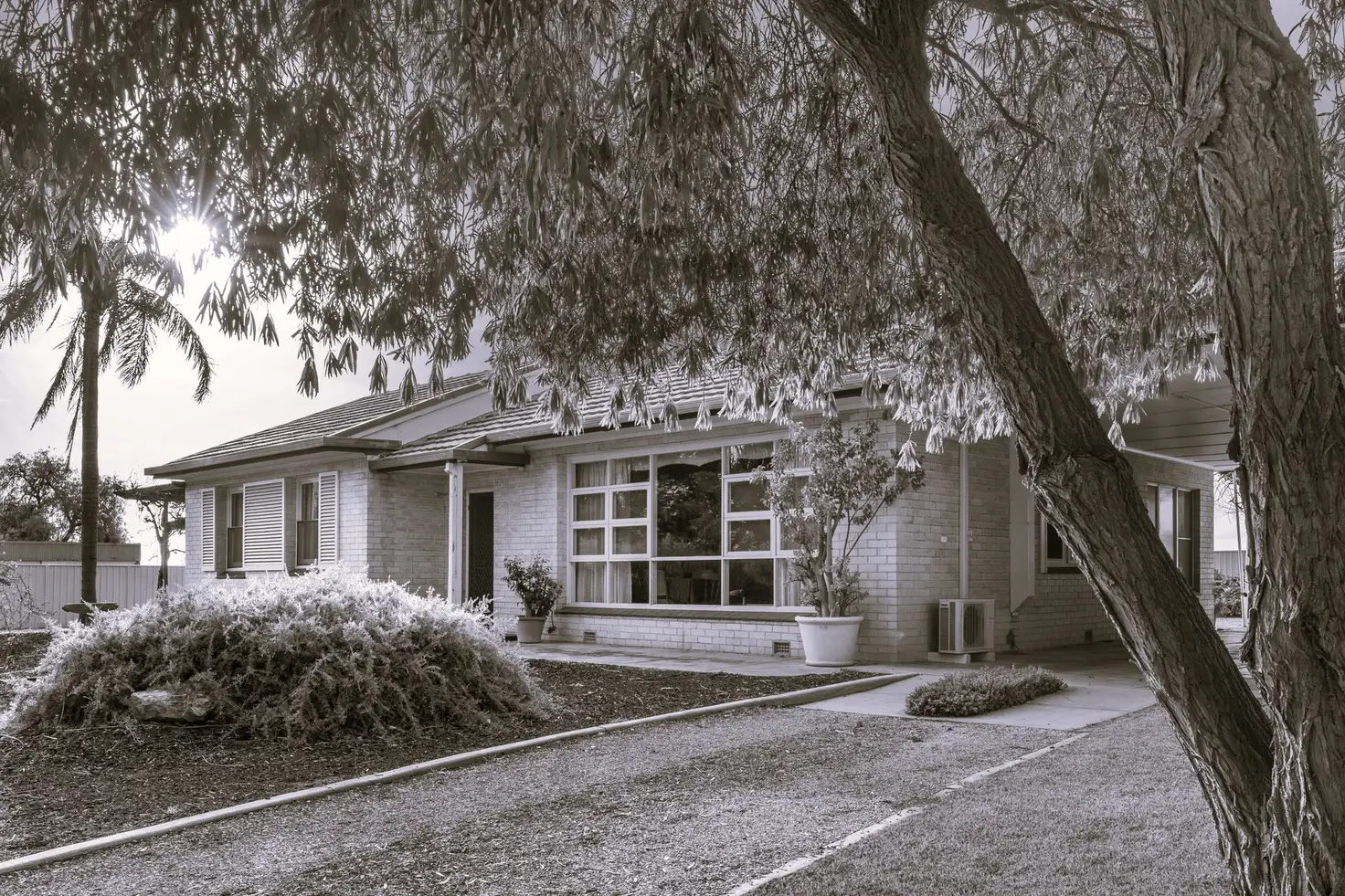 Main view of Homely house listing, 80 Briers Road, Loxton SA 5333