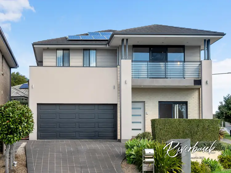 Main view of Homely house listing, 19 Indigofera Circuit, Mount Annan NSW 2567