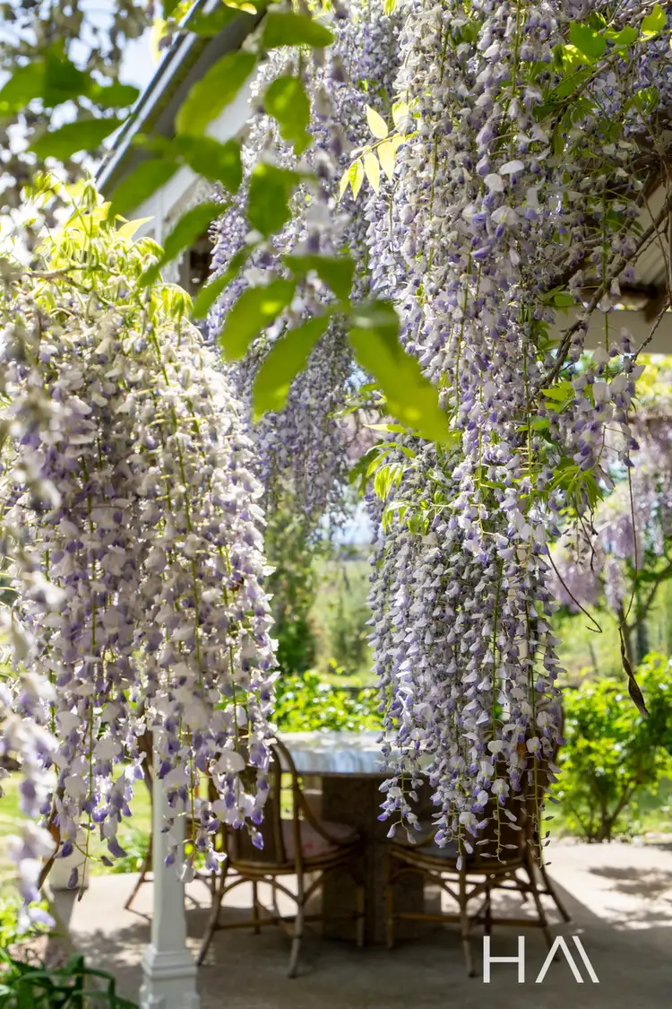 Fifth view of Homely house listing, 14106 Tasman Highway, Swansea TAS 7190