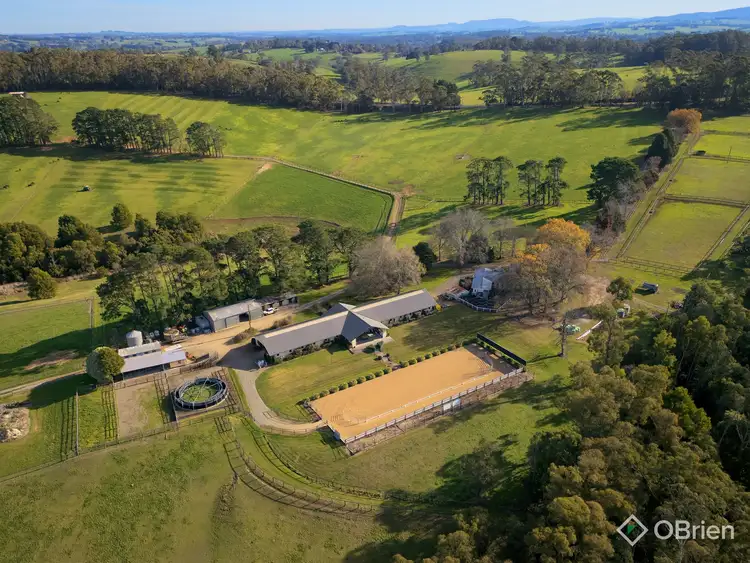 Second view of Homely rural property listing, 1246 Bloomfield Road, Crossover VIC 3821