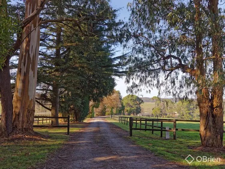 Third view of Homely rural property listing, 1246 Bloomfield Road, Crossover VIC 3821