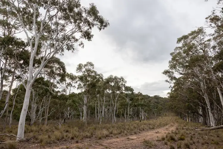 Third view of Homely rural property listing, Lot 147, 1093 Pyramul Road, Mudgee NSW 2850