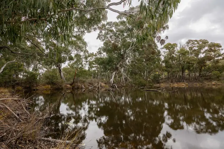 Lot 146, 1093 Pyramul Road