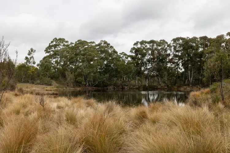 Third view of Homely rural property listing, Lot 146, 1093 Pyramul Road, Mudgee NSW 2850