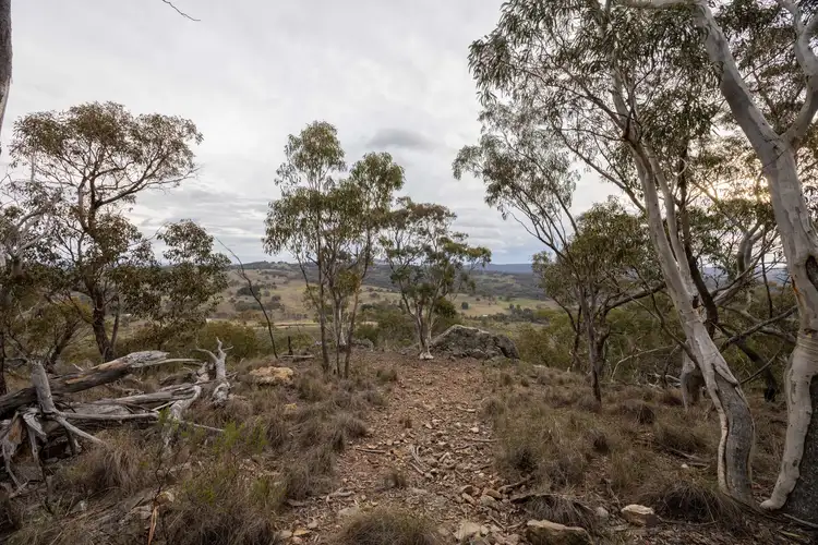 Fifth view of Homely rural property listing, Lot 71, 1093 Pyramul Road, Mudgee NSW 2850
