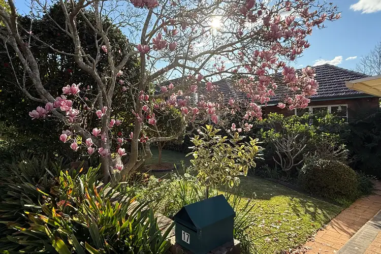 Second view of Homely house listing, 17 Dunlop Street, Epping NSW 2121