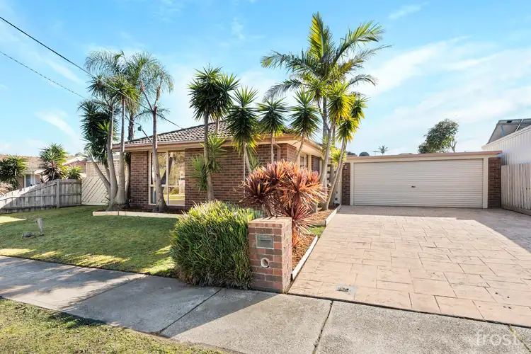51 Tattler Street