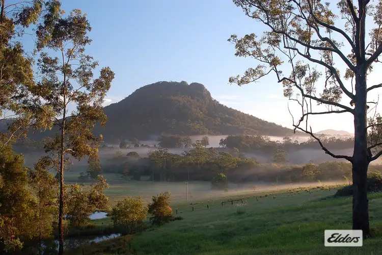 Second view of Homely rural property listing, 1694 Comboyne Road, Killabakh NSW 2429