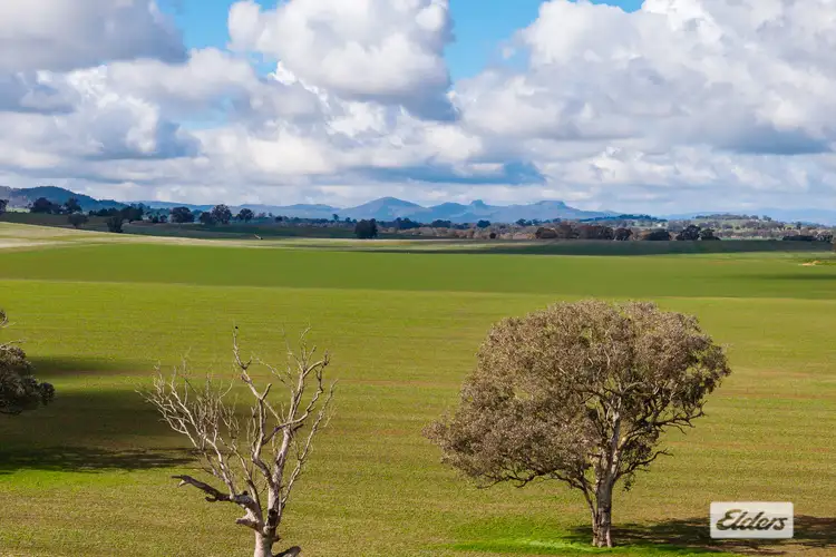 Fourth view of Homely rural property listing, Bethel Road, Burrumbuttock NSW 2642