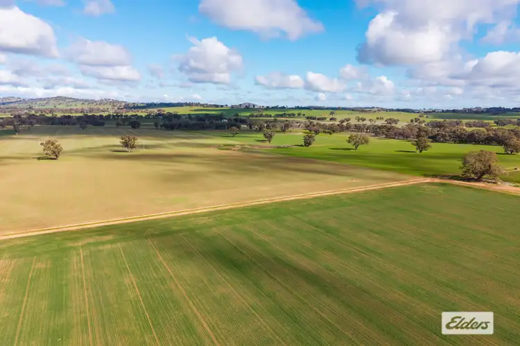 Seventh view of Homely rural property listing, Bethel Road, Burrumbuttock NSW 2642