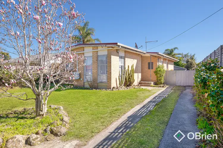 11 Stricta Court