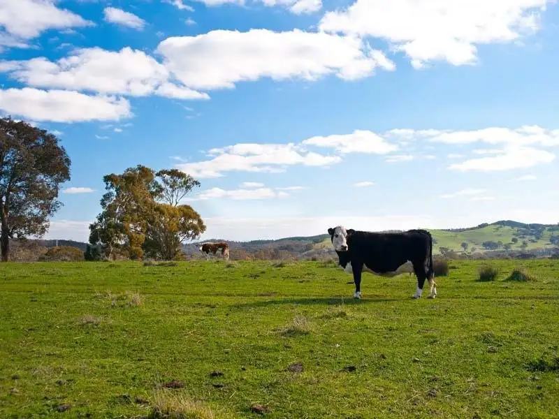 Main view of Homely land listing, 12 Moons Lane, Faraday VIC 3451