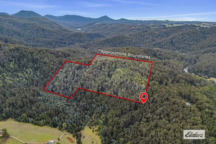 Bannons Bridge Road, Gunns Plains TAS 7315