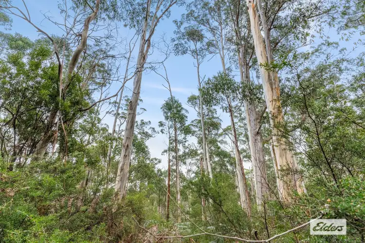 Fifth view of Homely rural property listing, Bannons Bridge Road, Gunns Plains TAS 7315