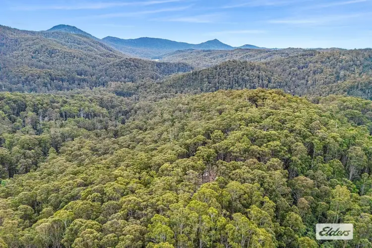 Sixth view of Homely rural property listing, Bannons Bridge Road, Gunns Plains TAS 7315