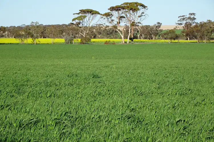 Second view of Homely rural property listing, 1103 Bullaring - Gorge Rock Road, Bullaring WA 6373