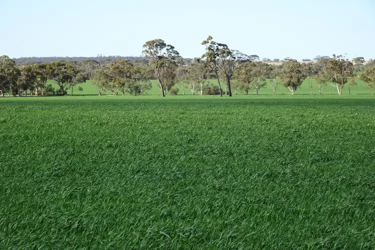 Third view of Homely rural property listing, 1103 Bullaring - Gorge Rock Road, Bullaring WA 6373