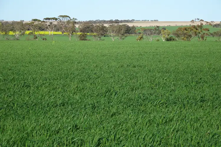 Sixth view of Homely rural property listing, 1103 Bullaring - Gorge Rock Road, Bullaring WA 6373