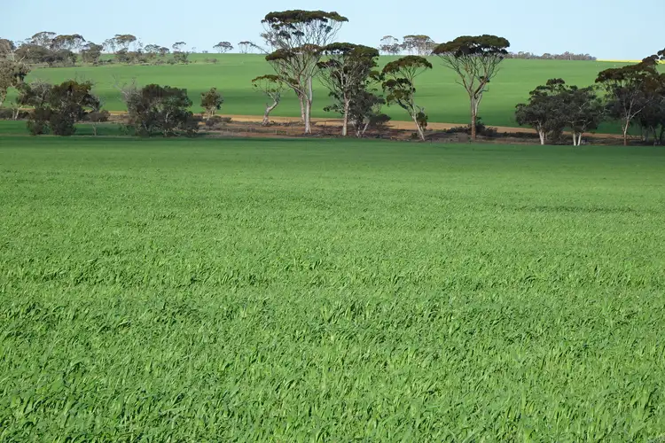 Seventh view of Homely rural property listing, 1103 Bullaring - Gorge Rock Road, Bullaring WA 6373