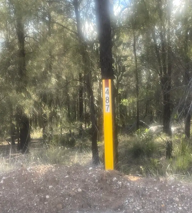 Main view of Homely rural property listing, 487 Rocky Crescent, Tara QLD 4421
