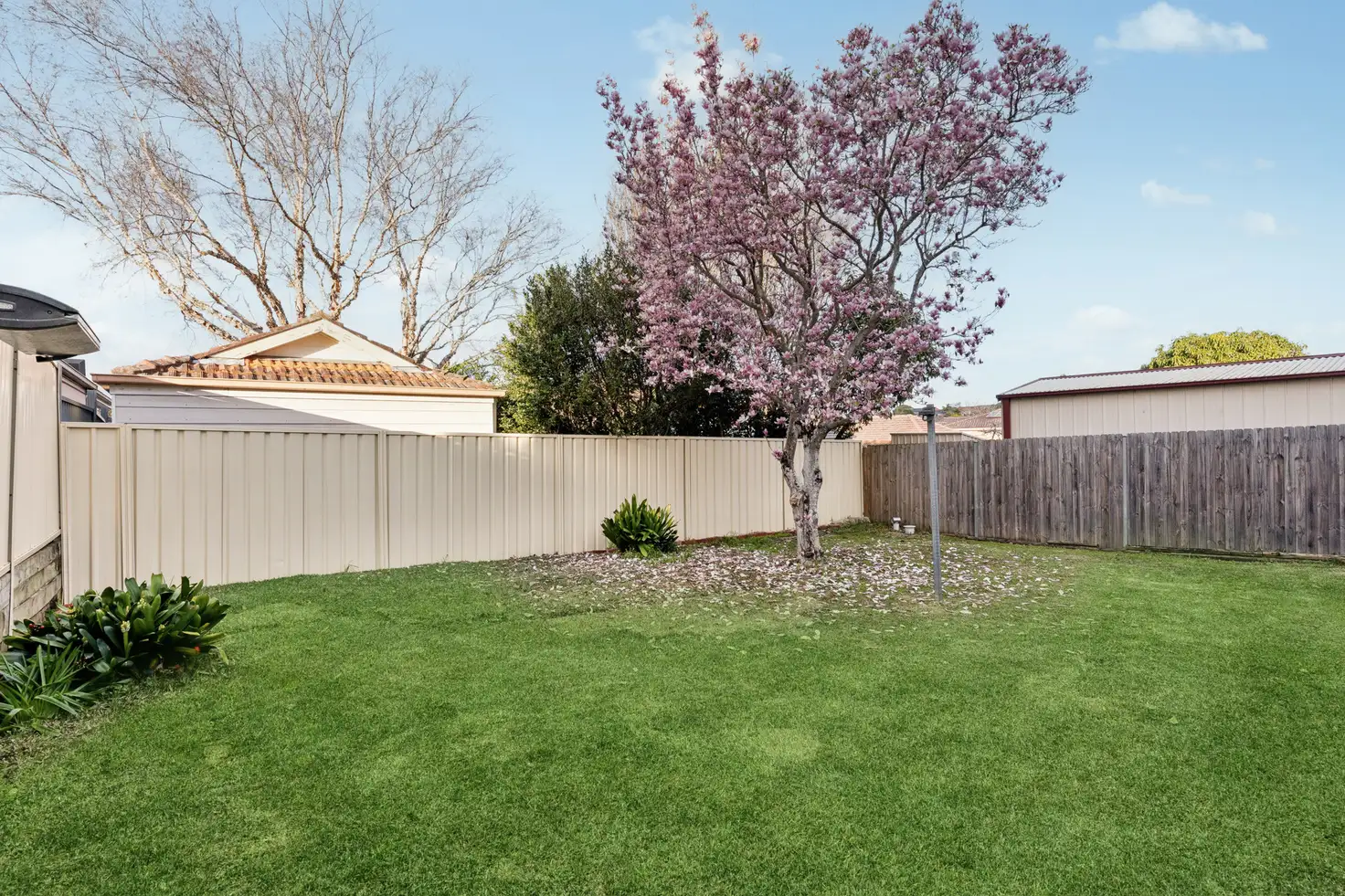 Main view of Homely house listing, 20 Annie Street, Hurstville NSW 2220