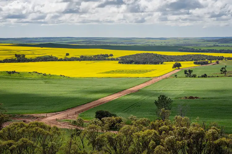 Second view of Homely rural property listing, 829 Nabawa Northampton Road, Hickety WA 6532
