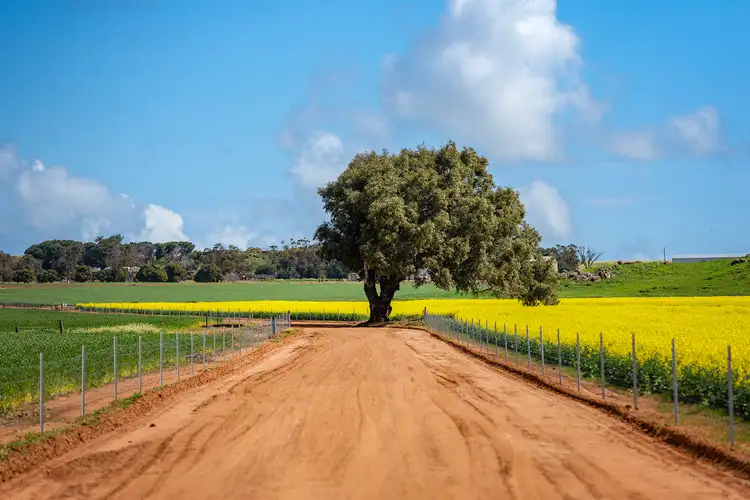 Third view of Homely rural property listing, 829 Nabawa Northampton Road, Hickety WA 6532