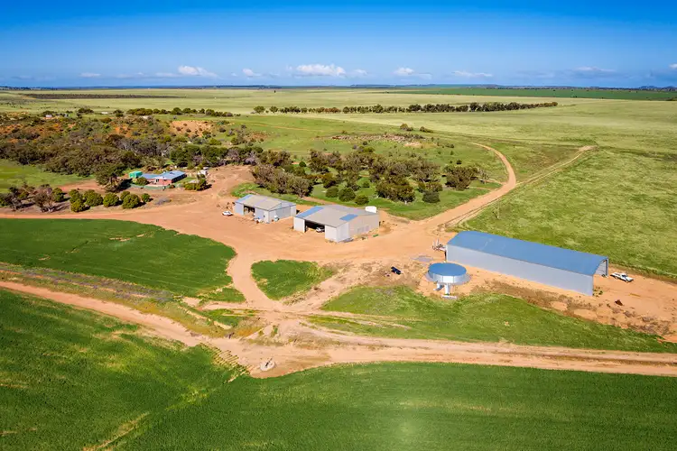 Fifth view of Homely rural property listing, 829 Nabawa Northampton Road, Hickety WA 6532