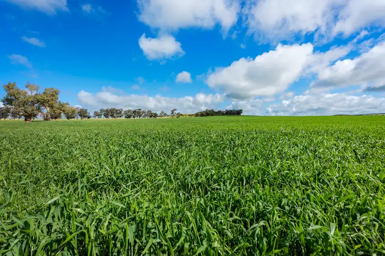 Sixth view of Homely rural property listing, 829 Nabawa Northampton Road, Hickety WA 6532